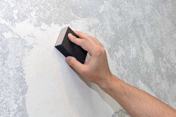 Best Dehumidification Services  in Ely, NV