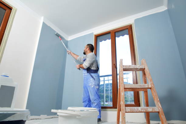 Best Mold Remediation for Healthcare Facilities  in Ely, NV