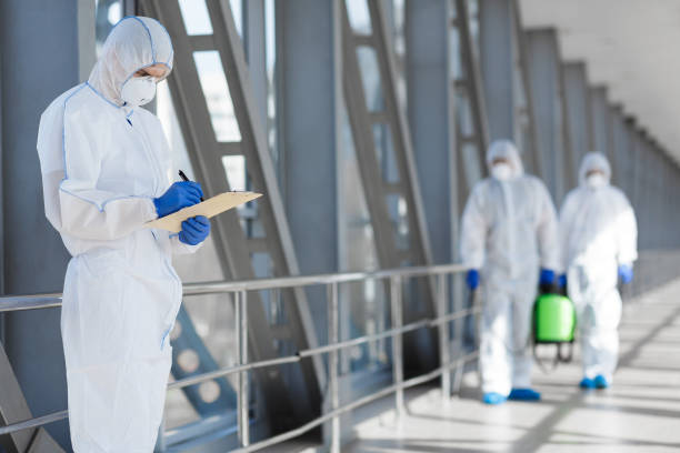 Ely, NV Mold Removal Company