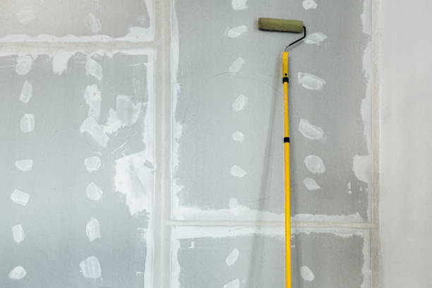 Best Black Mold Removal  in Ely, NV