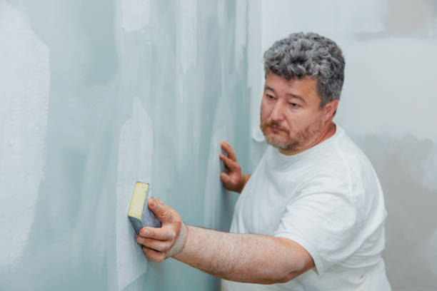 Best Real Estate Mold Inspection  in Ely, NV