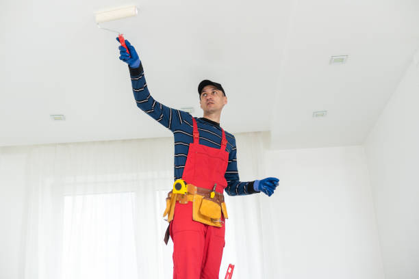 Best Environmental Consulting for Mold Prevention  in Ely, NV