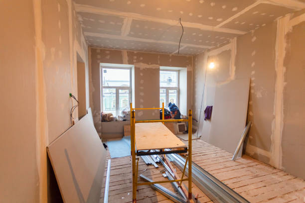 Best Mold Odor Removal Services  in Ely, NV